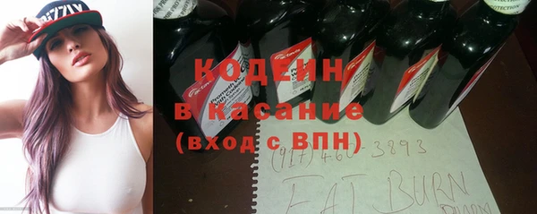 индика Богданович