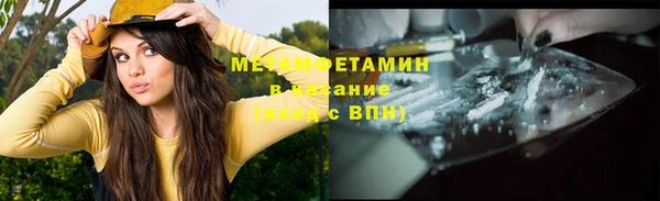 индика Богданович