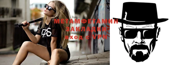 индика Богданович