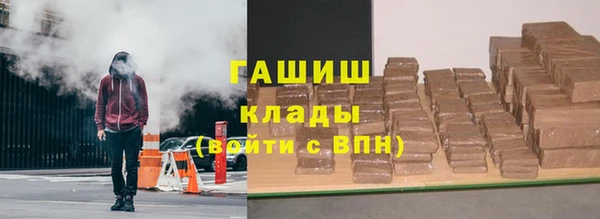 индика Бугульма