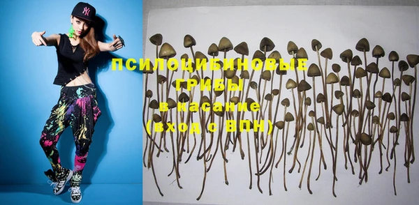 спайс Бронницы