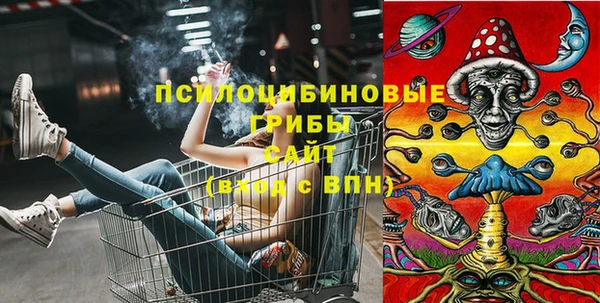 дурь Бородино