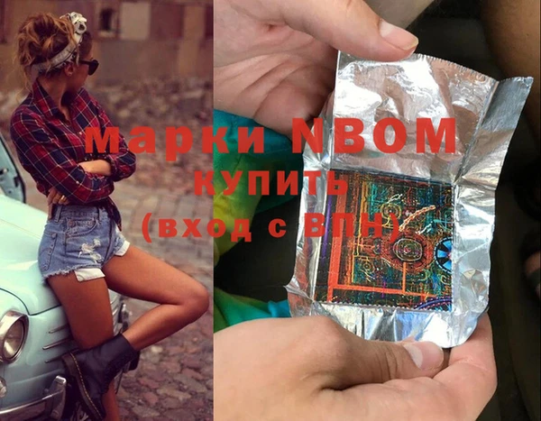 дурь Бородино