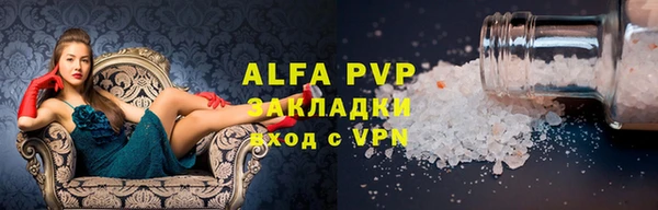 индика Бугульма